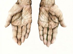 10011253_700895919931655_259276358_n